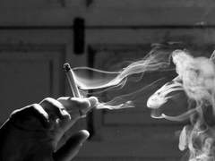 조직보스 여주 X 자낮 남주