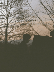 드림 앤 드라마