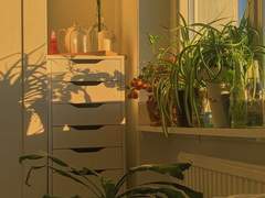 히키코모리 내 남친 上