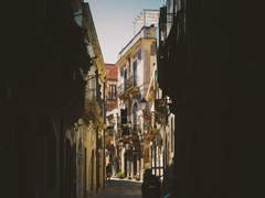 [이지연] 미움을 모르는 자