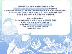 공지카드 디자인 작업물