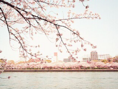 [응답하라, 우리의 봄이여 #2]