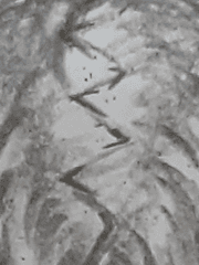 새나래 유료 시 모음