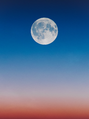 몽환 100제 그림 연습