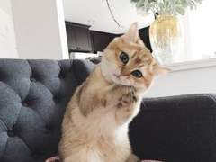 127막내 김여주 모먼트 EP.29