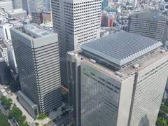 도쿄 여행 사진