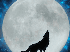 어쩌다 발견한 행복 04