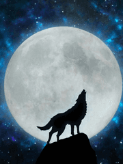 어쩌다 발견한 행복