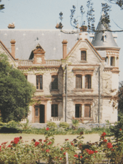 V가 사는 신기루