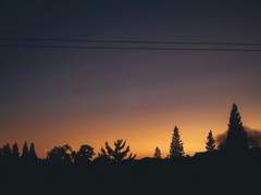 괴도가 그토록 찾던 판도라는 탐정에게