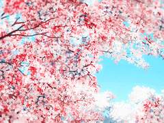 시티예술고등학교 2