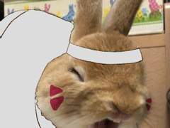 토깽전 팬아트 모음