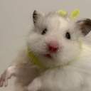 아레오파지티카