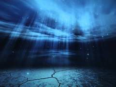 상처와 마술의 조화