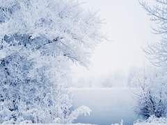 [키드신]탐정과 괴도가 보내는 첫 눈