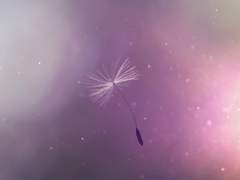 과거와 현재, 그 사이