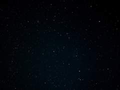 호랑지심(虎狼之心) 후기