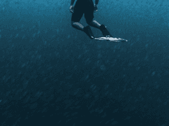 싸이코패스를 위하여 03