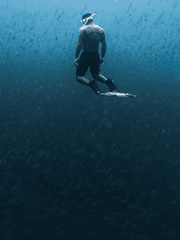 싸이코패스를 위하여