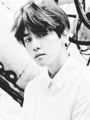 [변백현] 늑대비망록