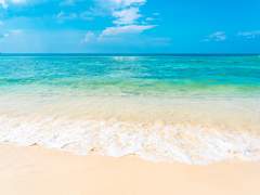 They lived happily ever after.