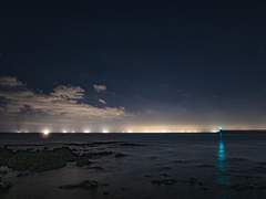 우연과 운명사이