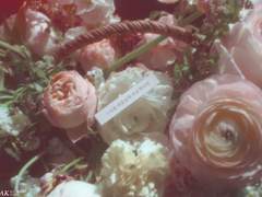 연출 커미션 [Close]