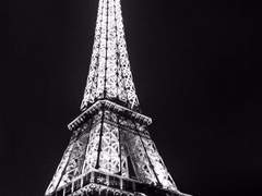 회색 탑에는 마녀가 산다