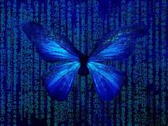 🦋 총알커 프로필