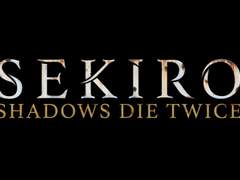 RE; 회생부터 시작하는 SEKIRO (完)