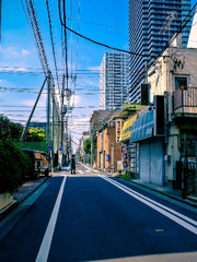 저는 가끔 자퇴를 꿈 꿔요