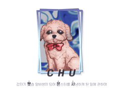 펫.몬.사 :: NPC 츄