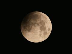 [엘리시온 발렌타인] 소리