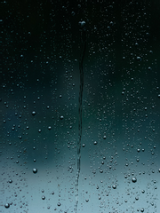 누구에게도 찾아오지 않은