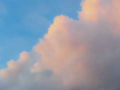 [백성백] 무력감