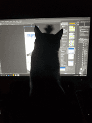 재미 소재 압축팩