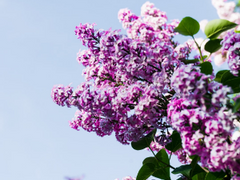 첫사랑의 정의 中_1