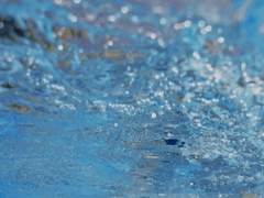 쿠로야키 로위나 XX 19