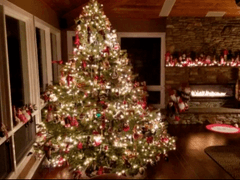 #10.5 국민의 겨울