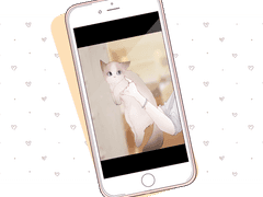 우 연 | XY | 17 | 인간