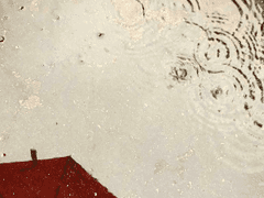 밟힌 웅덩이는 찰박 소리를 냈고,