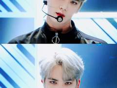 반려가 튀어서 빡친 늑대