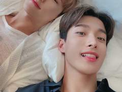 세븐틴 석순 타로