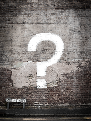 트롤리와 사슴사냥모 사이에서