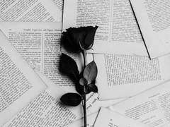 너 그 소문 들었니?