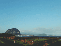 널 만날때마다 내가 없어져