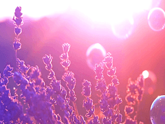 (동결)전오수커 프로필