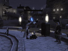 [파판14] 얀샤 유채꽃밭 스샷명소