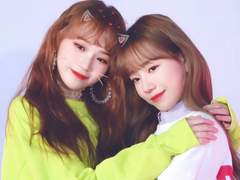 세상에 이런 고양이는 없다 上