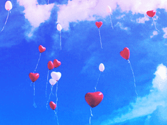 아아, 지각생 등장 입니다아~